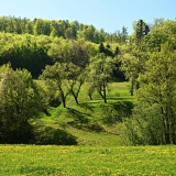 Z8A_3447