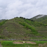 Z8A_3321