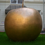 Z8A_3630