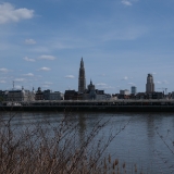 DSCF4230