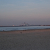 DSCF4419