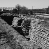 DSCF4378
