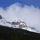 750_2498