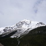 750_2526