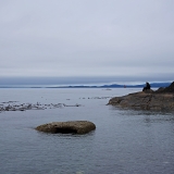 750_3886