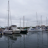 750_3929