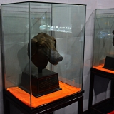 5200_0102