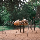 DSCF4534