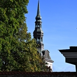 Z8A_4454