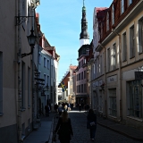 Z8A_4490