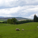 Z72_3095