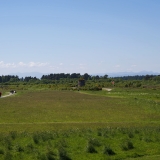 Z72_3171