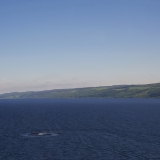 Z72_3368