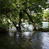 Z72_5191