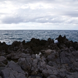 750_6274