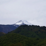 750_7398