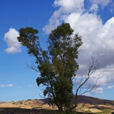 750_6578