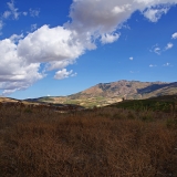750_6583