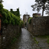 850_1855