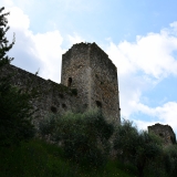 850_1904