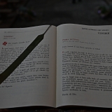 Z8A_2362