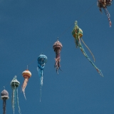 DSCF5004