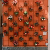 DSCF5010