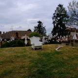 DSCF5119