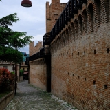 DSCF5124