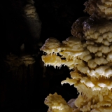 DSCF4869