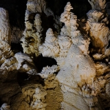 DSCF4871