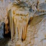 DSCF4877