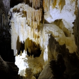 DSCF4887