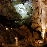 DSCF4901