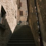 DSCF4813