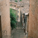 DSCF5084