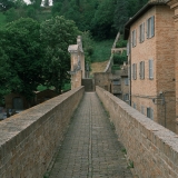 DSCF5087