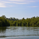 5200_2005