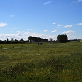 Z8A_4655