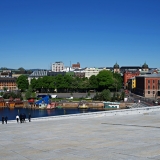 Z8A_0955