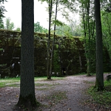 Z8A_4676