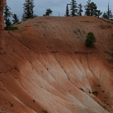850_8954