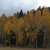 850_8737