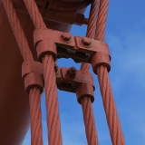 850_9856