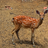 5200_4476