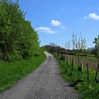 Z8A_3450