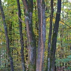 5200_5877