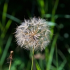 750_5072