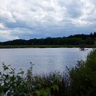 750_5352