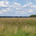 750_5391